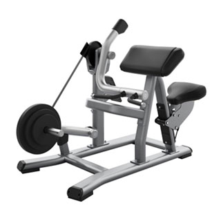 必确PRECOR|商用力量训练DPL0520挂片系列肱二头肌弯 ...