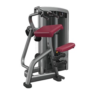 LifeFitness/力健Insignia 系列三头肌伸展训练器SS-TE